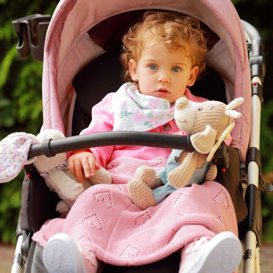 Garden dog musical toy 1124/01