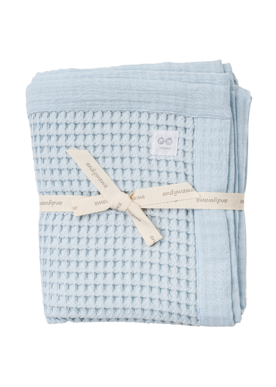 Blue Muslin Plaid Embossed Model AC25887 Andywawa
