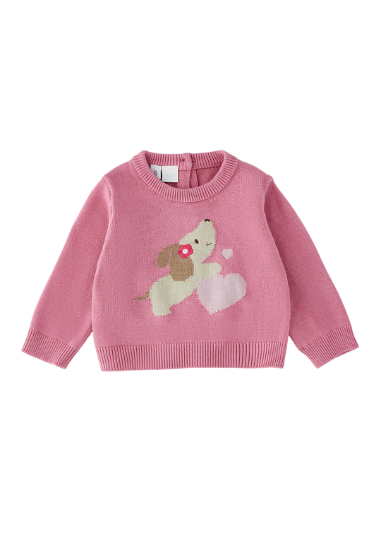 Bluza Tricotata Frez cu Model Catel pentru Fete 4.H089/00 – iDO