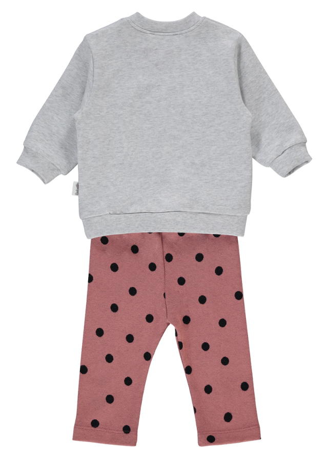 Set 2 Piese Bluza Sport Gri si Pantaloni Caramizii cu Buline Chic Day K4641 Bebetto