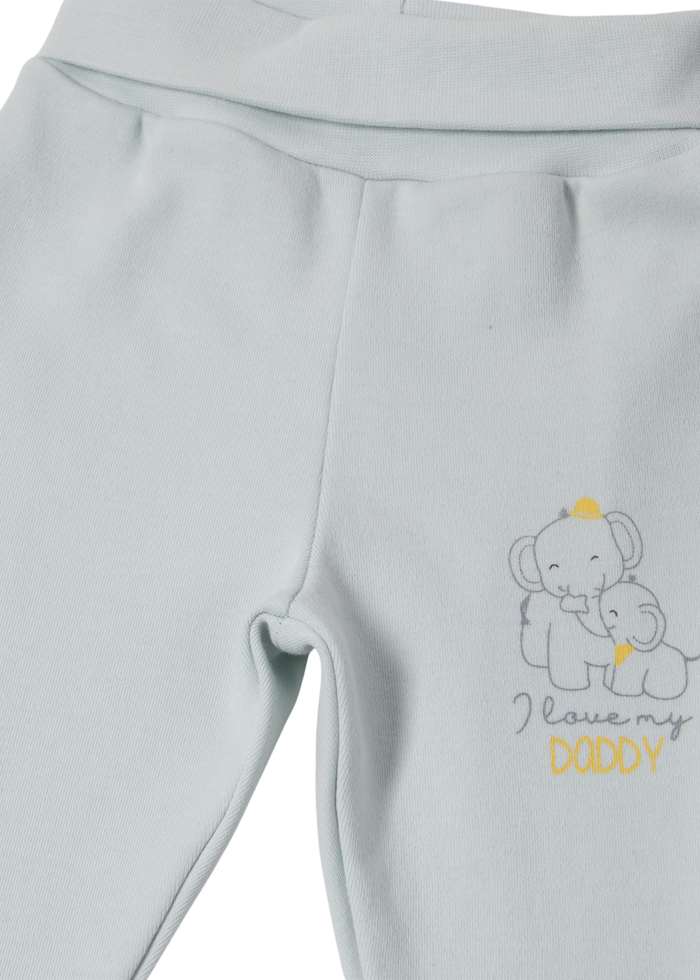 Set 3 Piese Verde Menta Bluza cu Capse Pantaloni Lungi cu Picior si Fes cu elefant Z1053 Bebetto