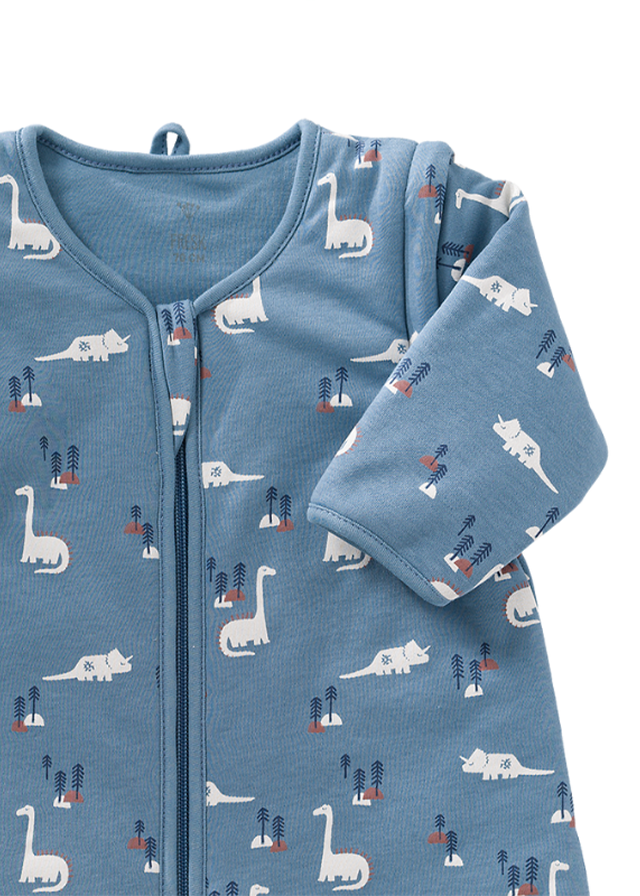 Newborn Blue Dinosaur Print Organic Cotton Sleeping Bag with Detachable Sleeves F780-10