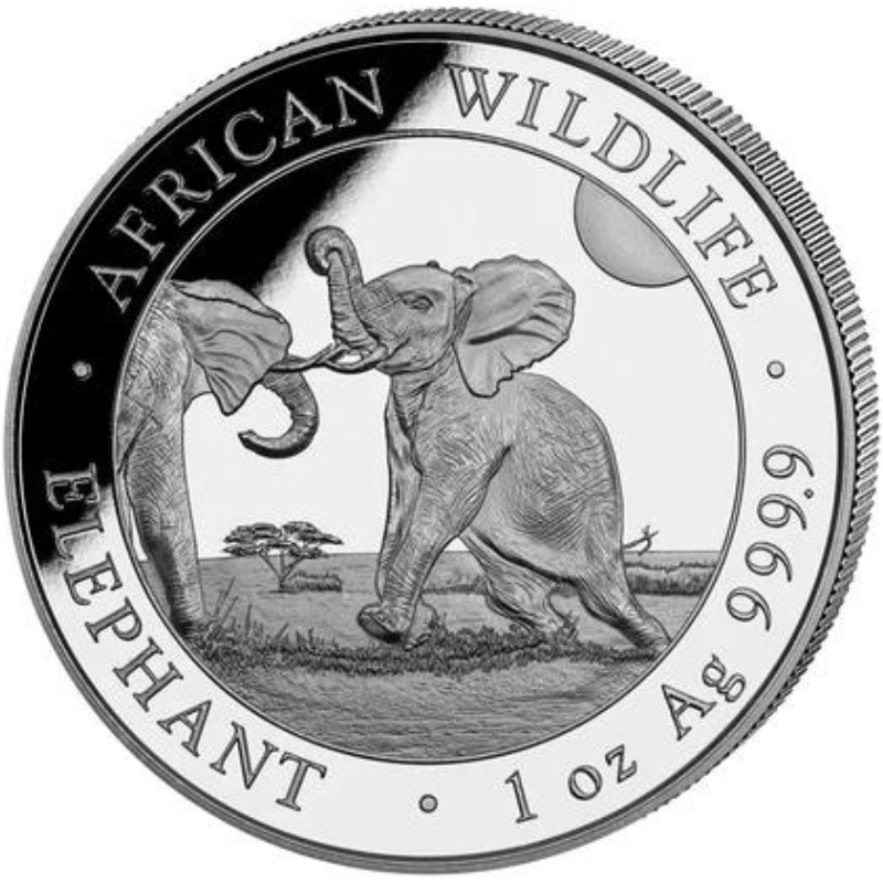 Moneda Argint Somalia Elephant 2024 31.10 g - 1115503 - Camera Bebelusului