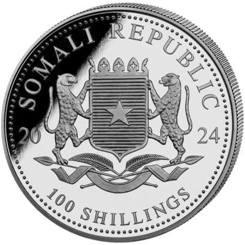 Moneda Argint Somalia Elephant 2024 31.10 g - 1115503 - Camera Bebelusului